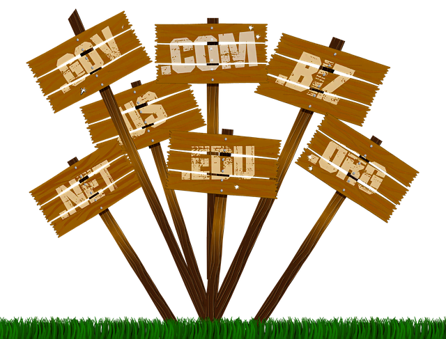 Nom de domaine site internet